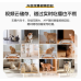 Pet feeder 5L large capacity smart cat food dog food timing quantitative cat feeder